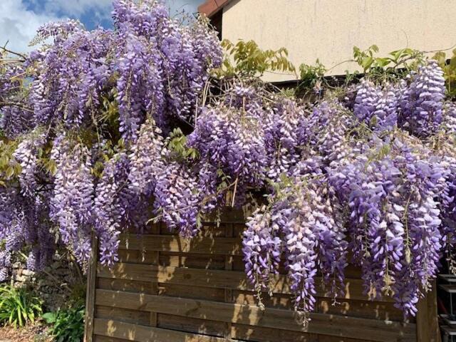 Photo of Others in Limetz-Villez