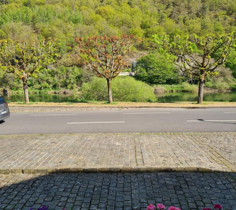 Photo of Outdoor in Revin