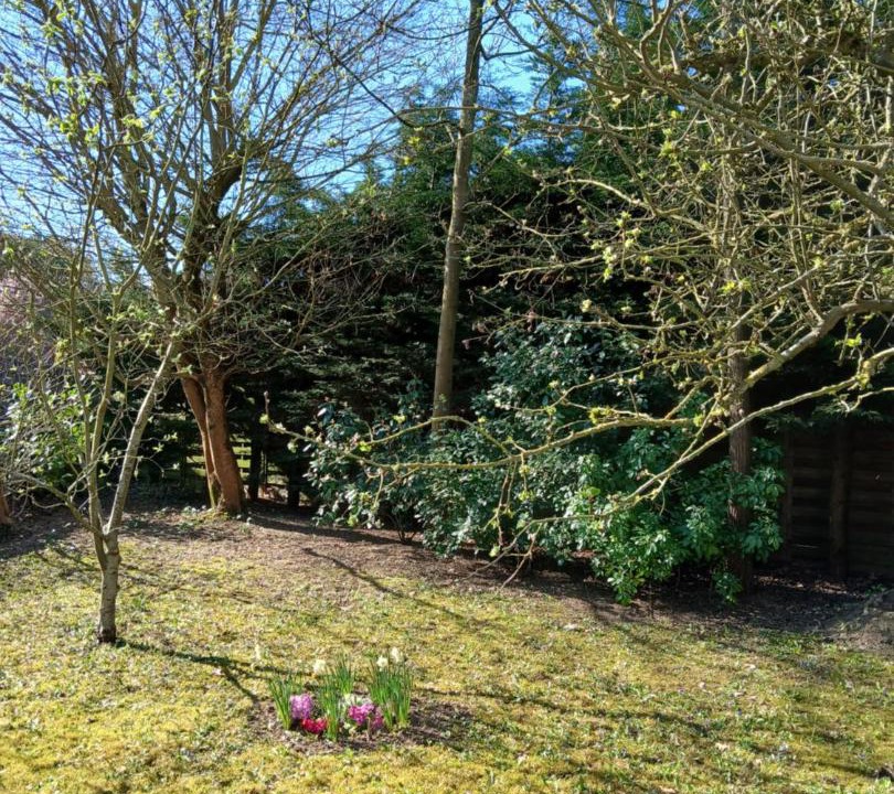 Photo of Outdoor in Cambrai