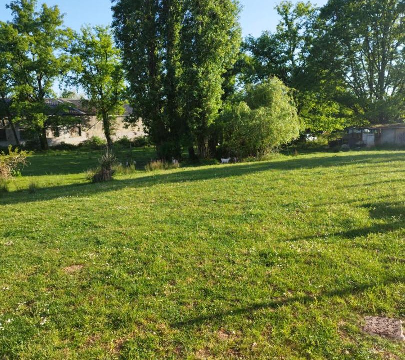 Photo of Outdoor in Ussac