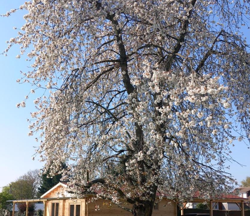Photo of Others in Tourville-sur-Arques