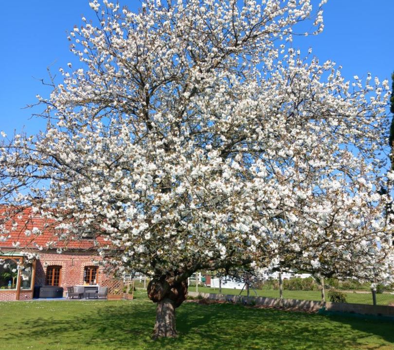Photo of Outdoor in Tourville-sur-Arques