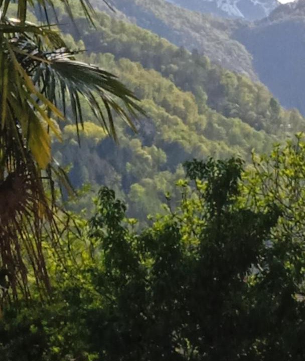 Photo of Others in Cavigliano