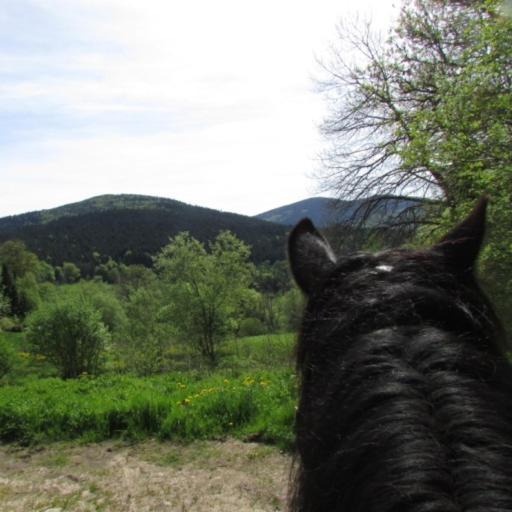 Photo of Others in Vollore-Montagne