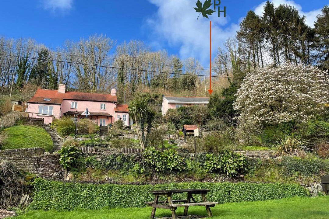 Photo of Others in Berrynarbor