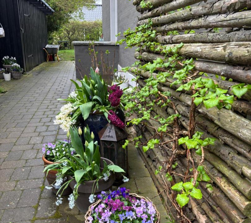 Photo of Others in Vigerslev