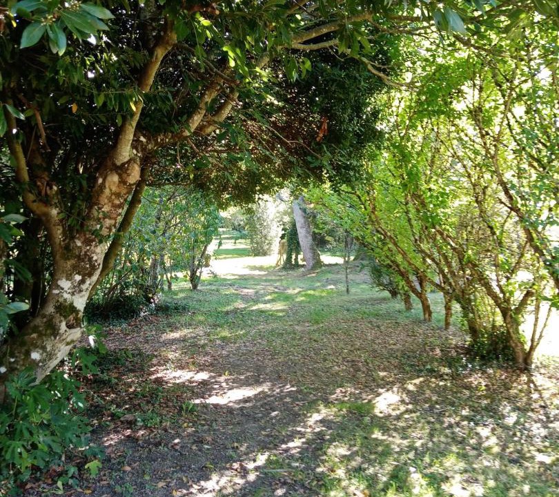 Photo of Outdoor in Vieilles-Maisons-sur-Joudry