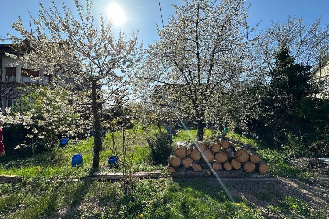 Photo of Outdoor in Lutterbach