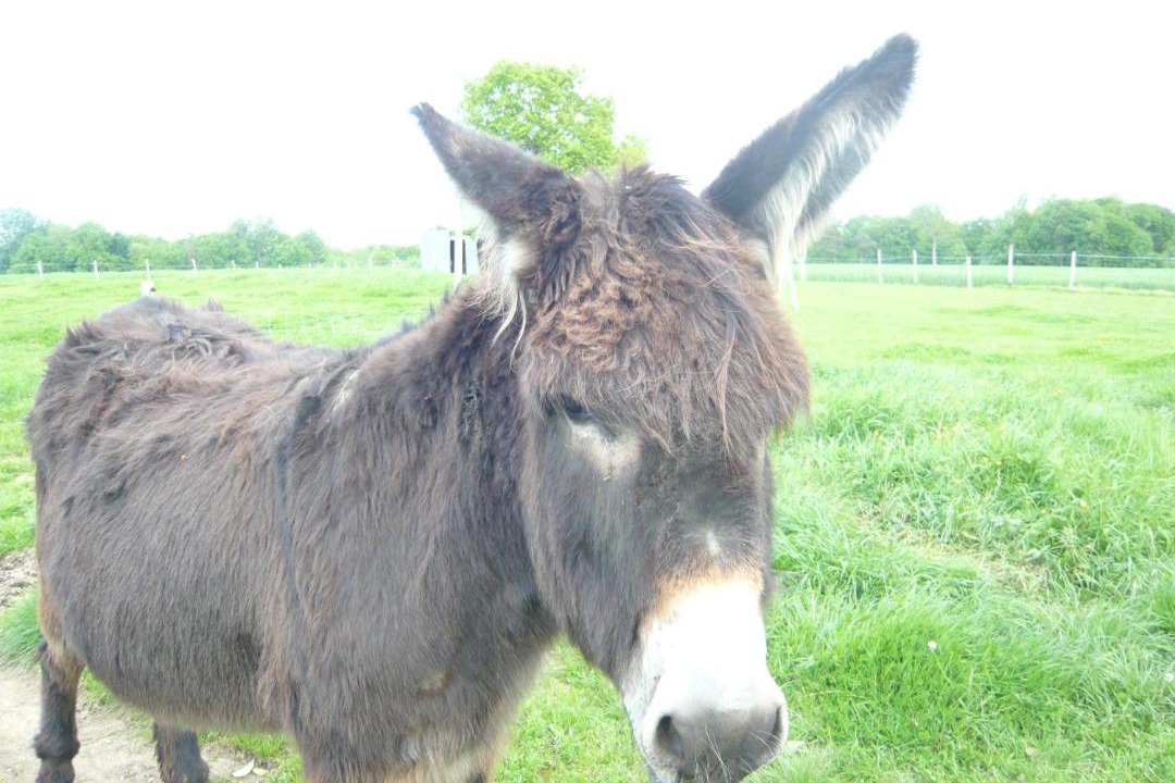 Photo of Others in Pleudihen-sur-Rance