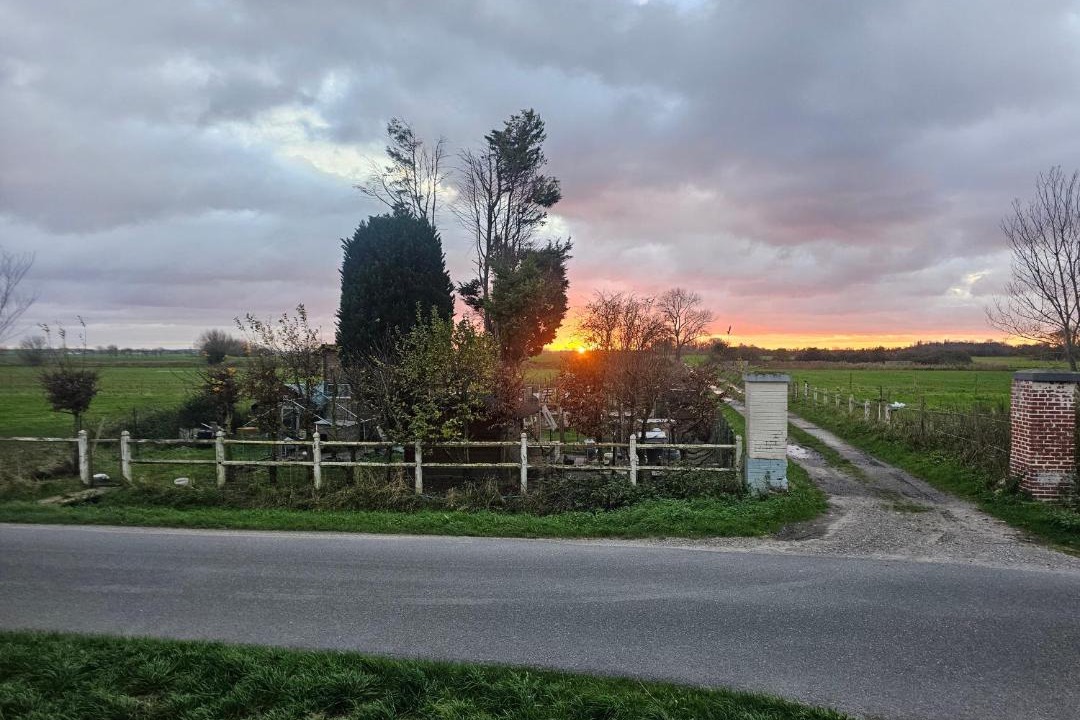 Photo of Others in Steene