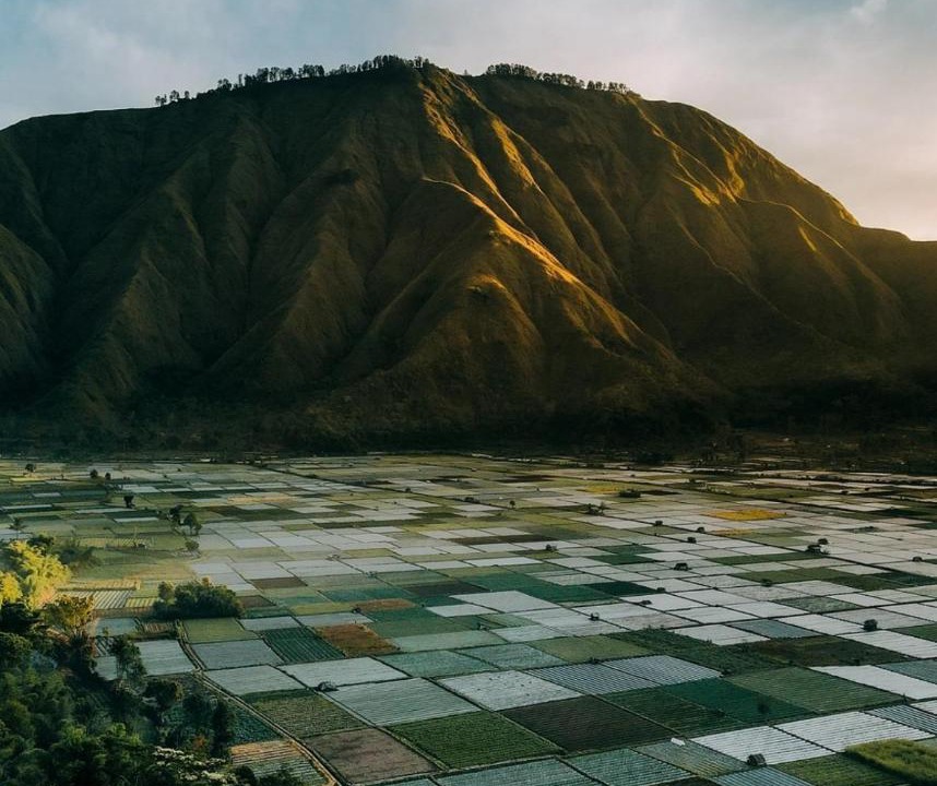 Photo of Others in Tetebatu