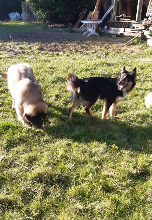 Photo of Others in Tabanac