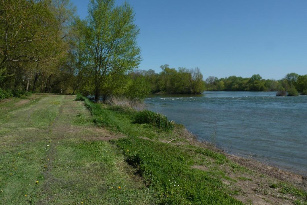 Photo of Others in Chouze-sur-Loire