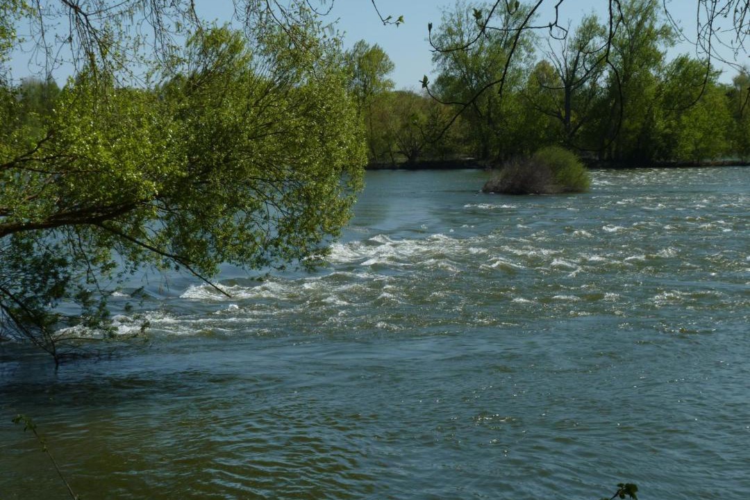 Photo of Others in Chouze-sur-Loire