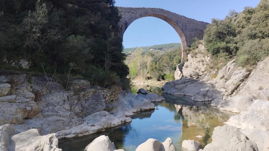 Photo of Others in Tortella