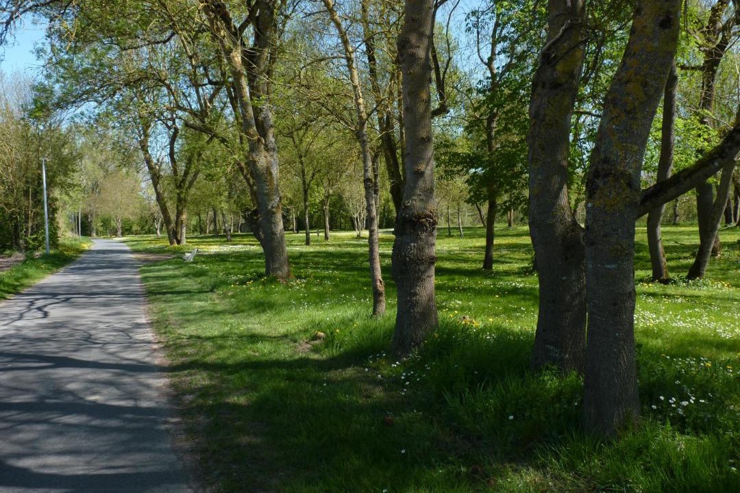 Photo of Others in Chouze-sur-Loire