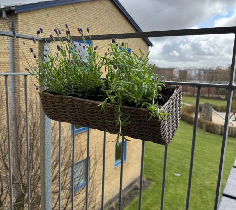 Photo of Patio Balcony in Holstebro