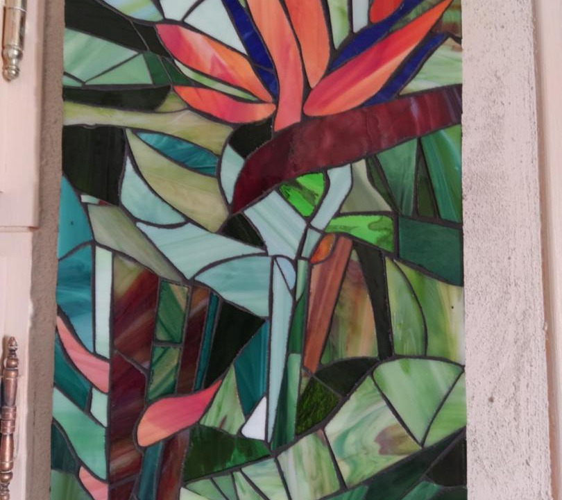 Photo of Others in Vinca