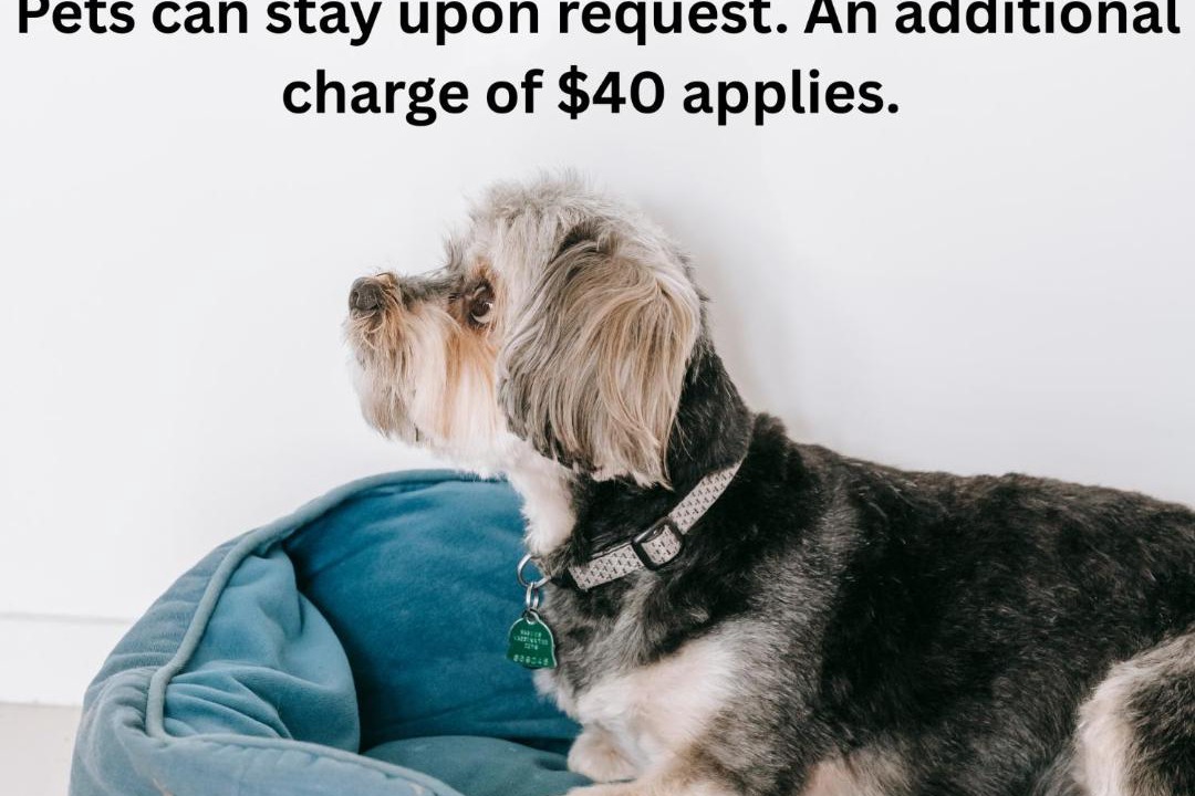 Photo of Others in Buchan