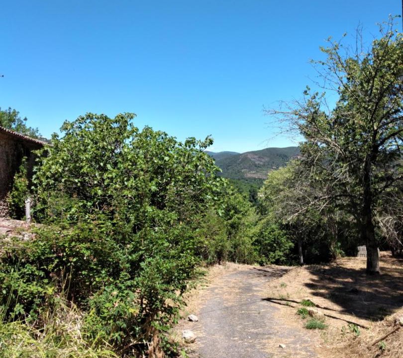 Photo of Others in Anduze