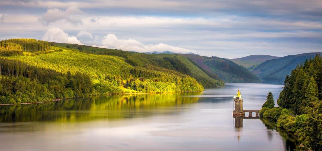 Photo of Others in Welshpool