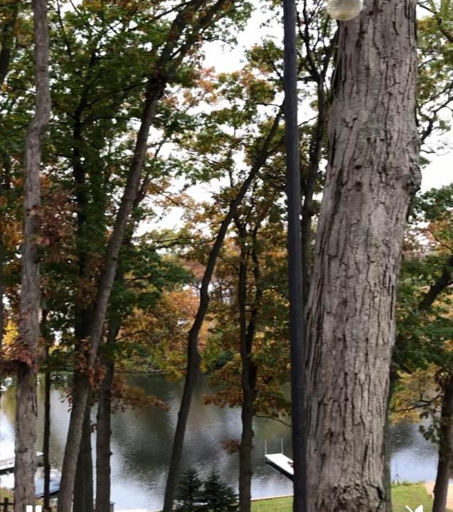 Photo of Others in White Lake