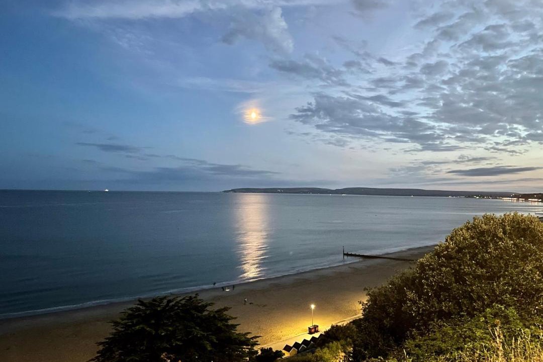 Photo of Others in West Cliff