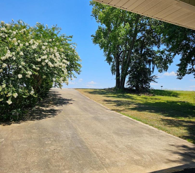 Photo of Others in Vienna