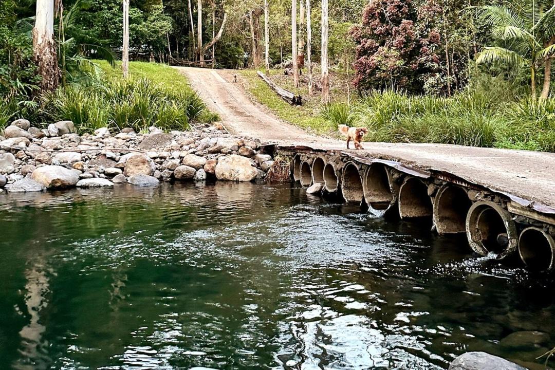 Photo of Others in Lamington