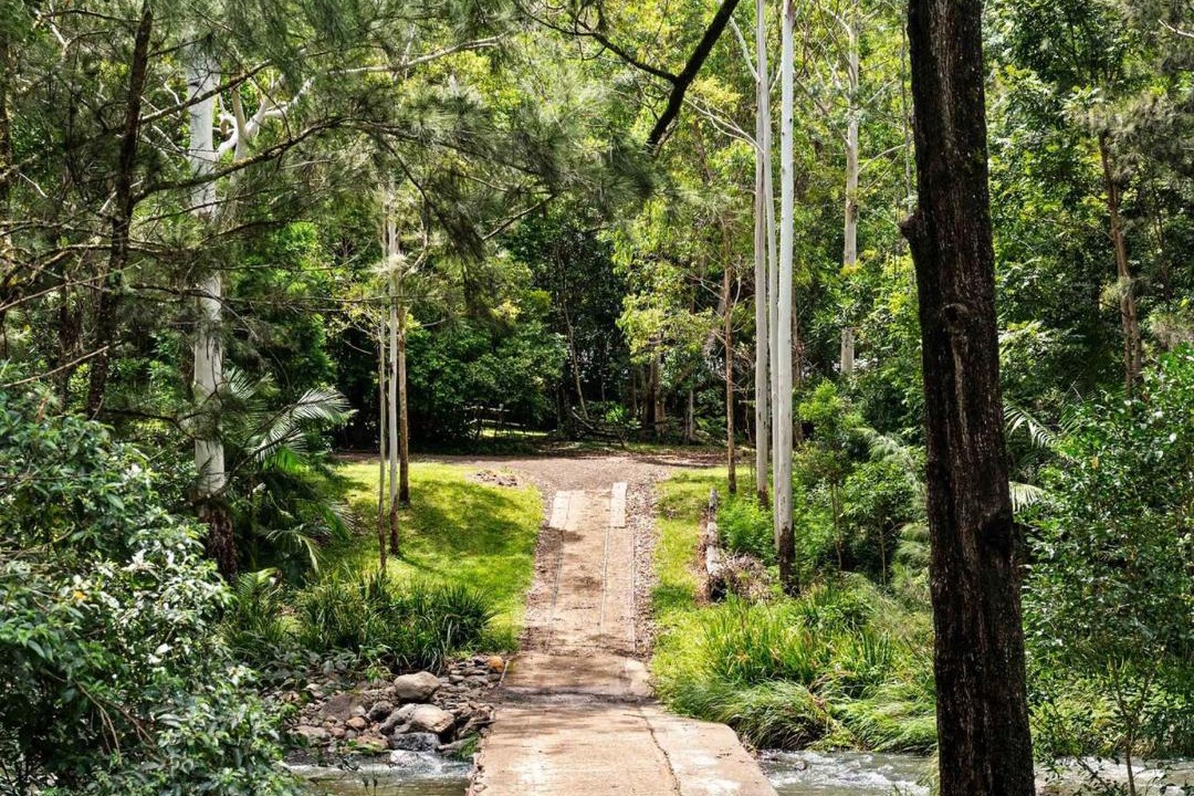 Photo of Others in Lamington