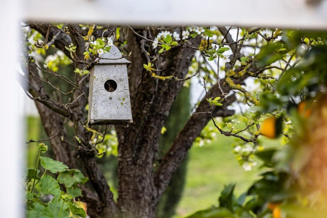 Photo of Others in Angaston