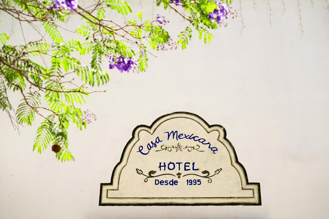 Photo of Others in Mineral de Pozos