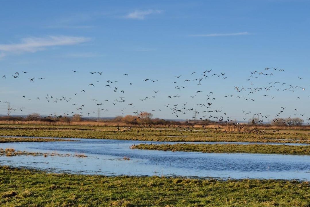 Photo of Others in Seasalter
