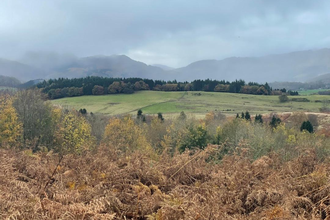 Photo of Others in Kippen