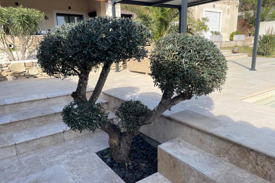 Photo of Others in Saint-Gervais