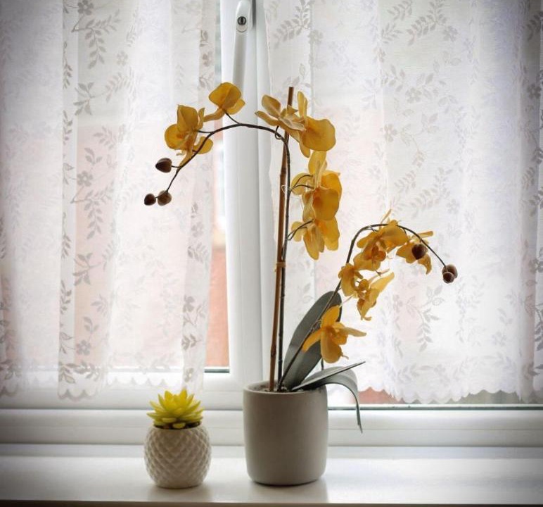 Photo of Others in Smethwick