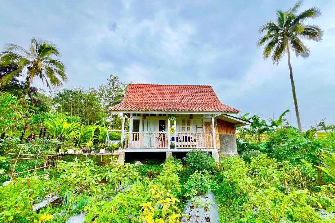 Photo of Others in Banyuwangi