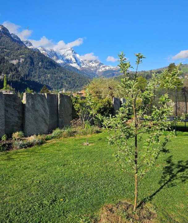 Photo of Others in Sils im Domleschg