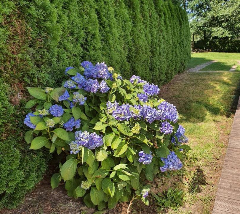 Photo of Outdoor in Ban-de-Laveline