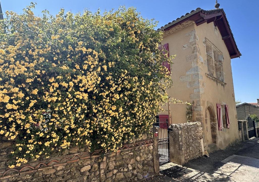 Photo of Others in Pimbo