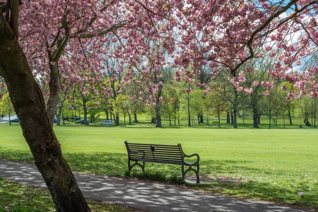 Photo of Others in Laurieston