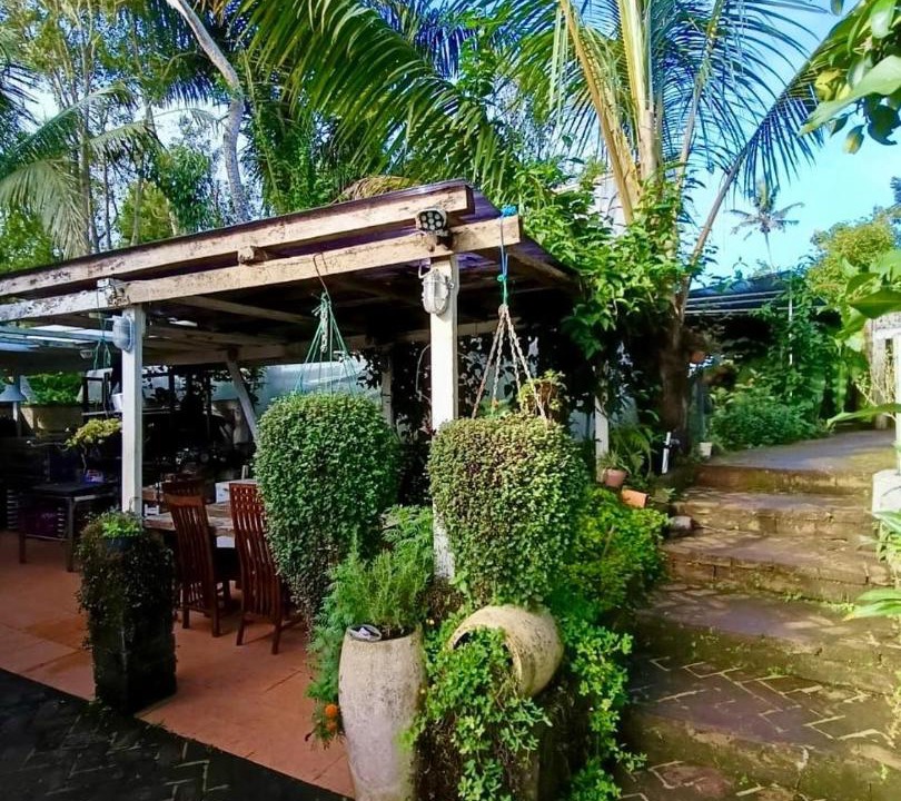 Photo of Others in Tua