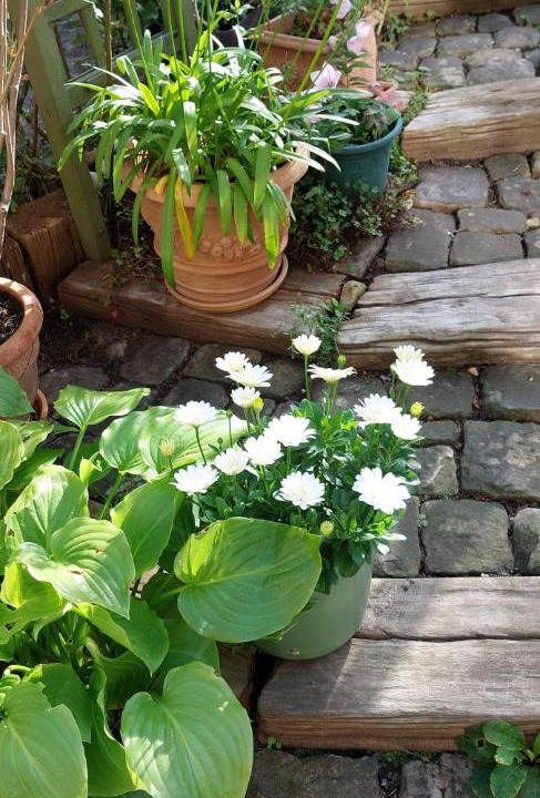 Photo of Others in Bolbec