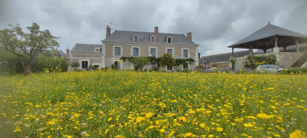 Photo of Others in Saint-Melaine-sur-Aubance