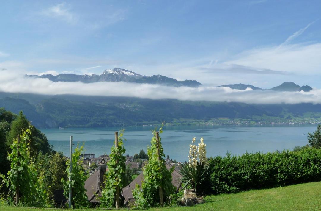 Photo of Outdoor in Gersau