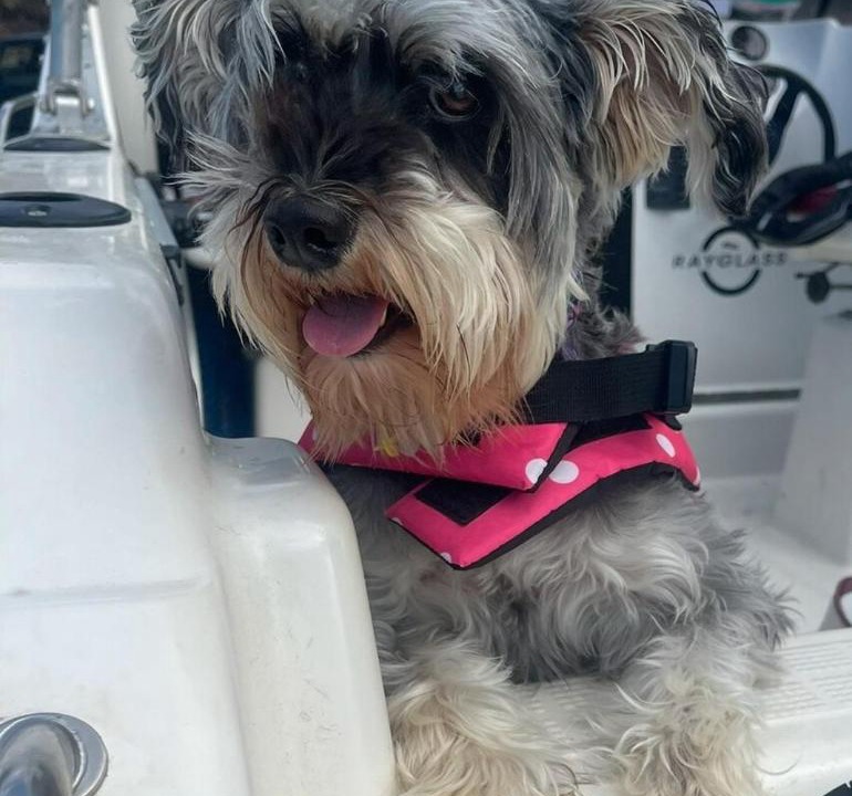 Photo of Others in Army Bay