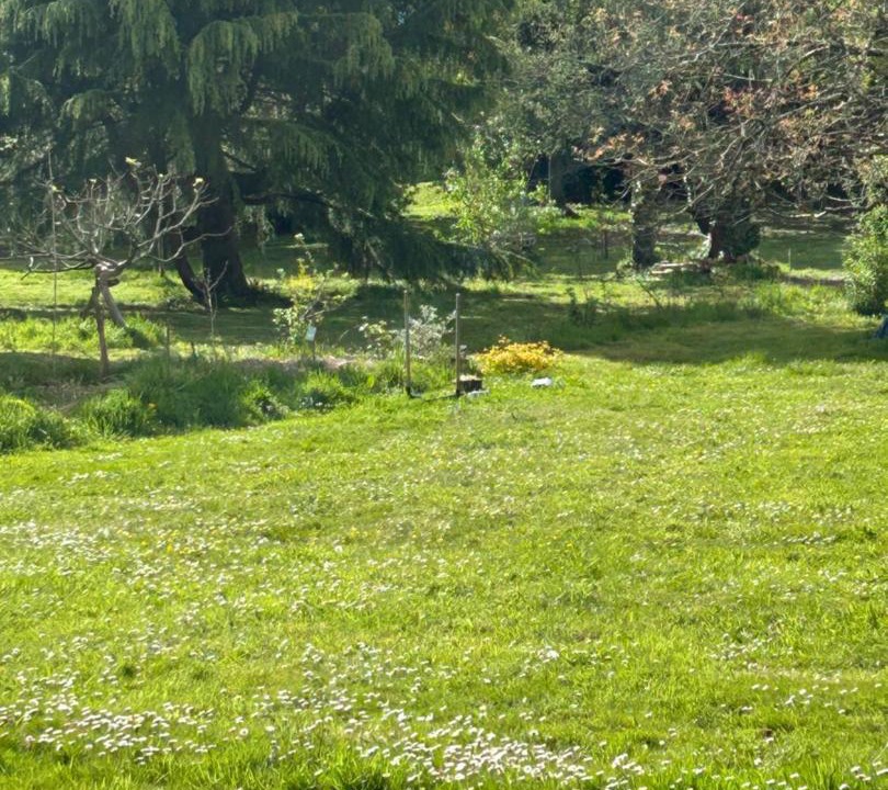 Photo of Others in Sene