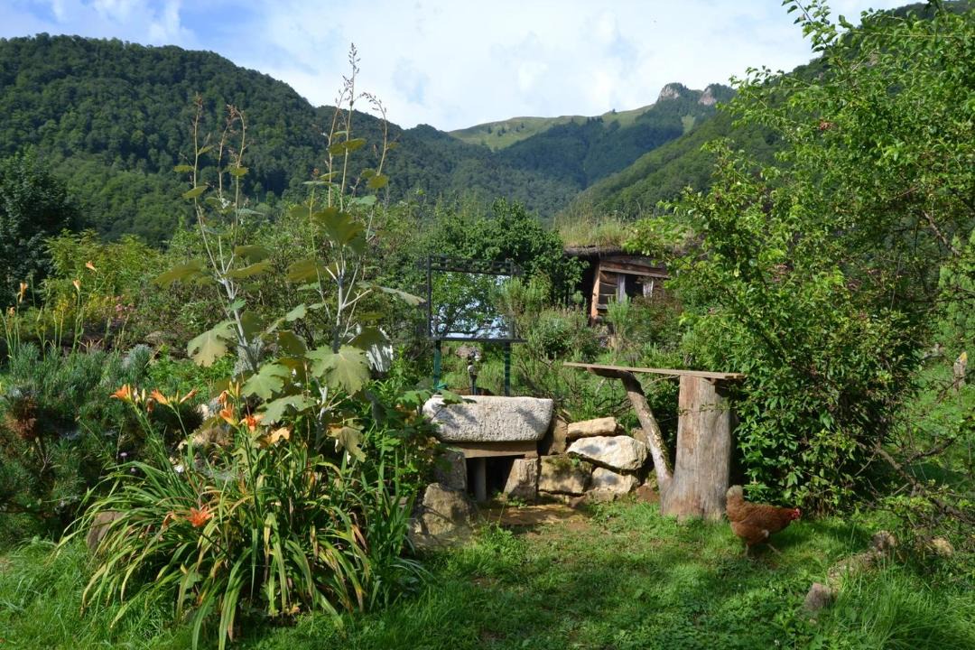 Photo of Others in Sost