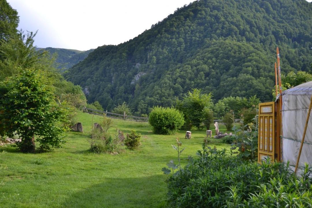 Photo of Others in Sost