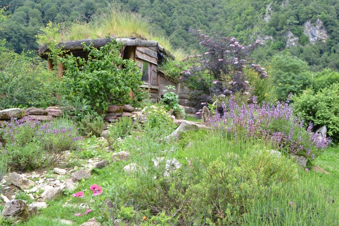 Photo of Others in Sost